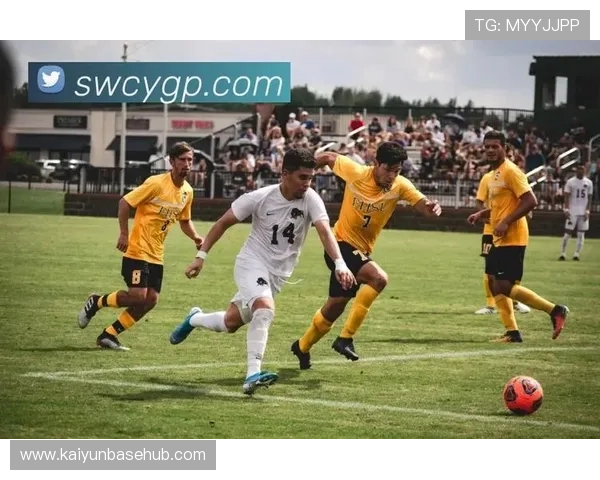 开云直播体育在线提供多平台同步直播服务，随时随地观看精彩体育赛事